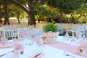 αιθουσες δεξιωσεων GREEN PARK Γαλάτσι